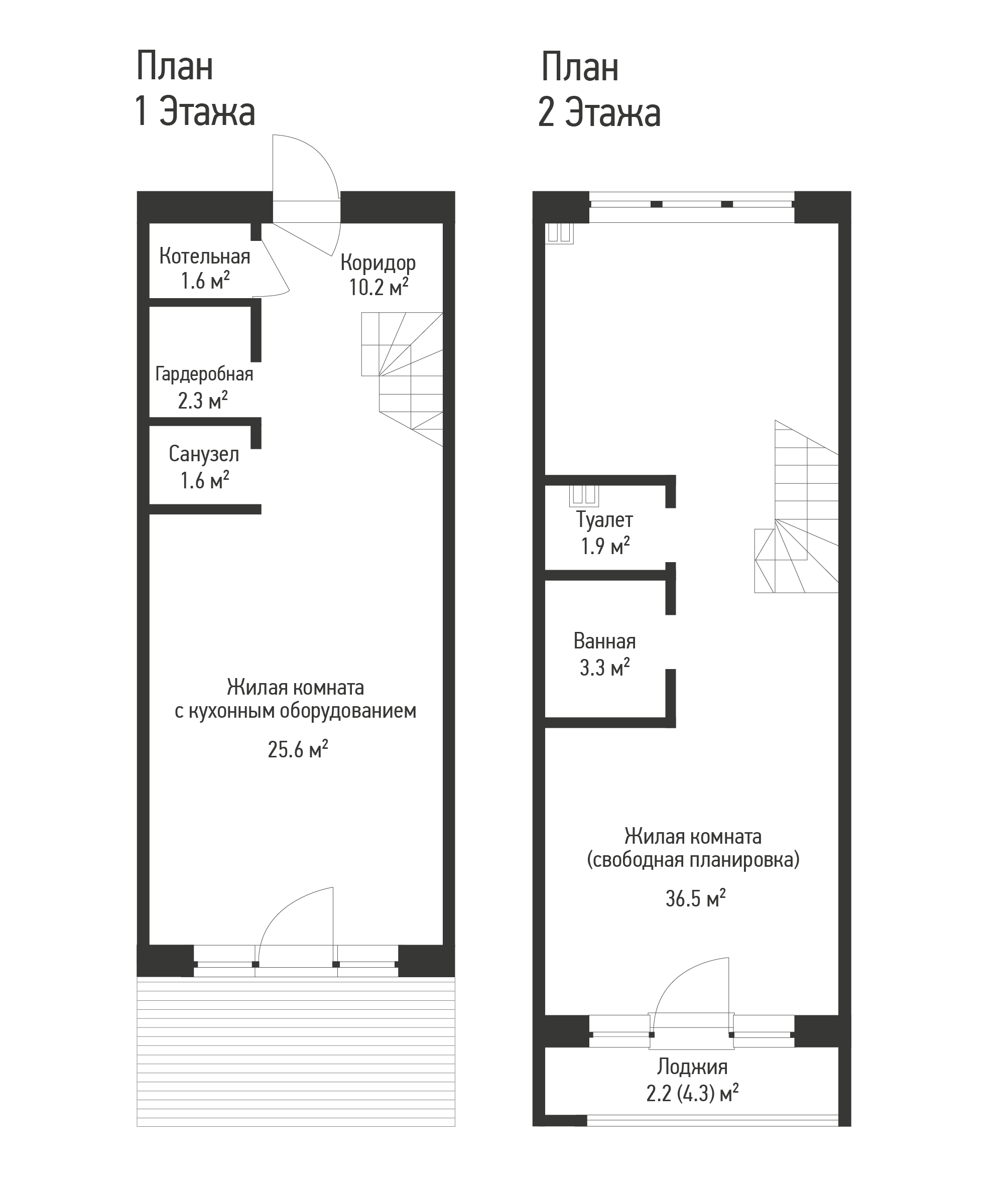 Айрон plan photo