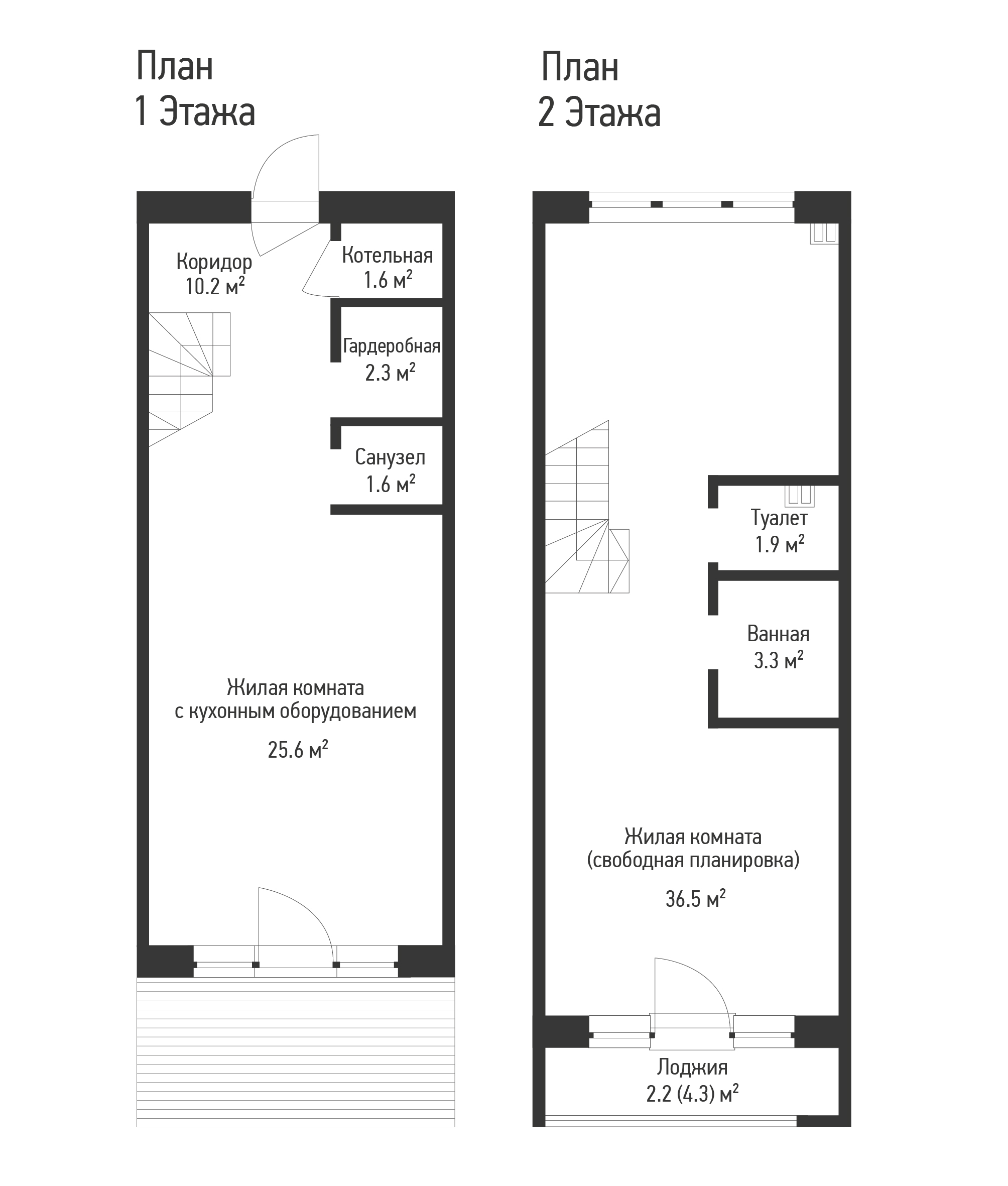 Айрон plan photo